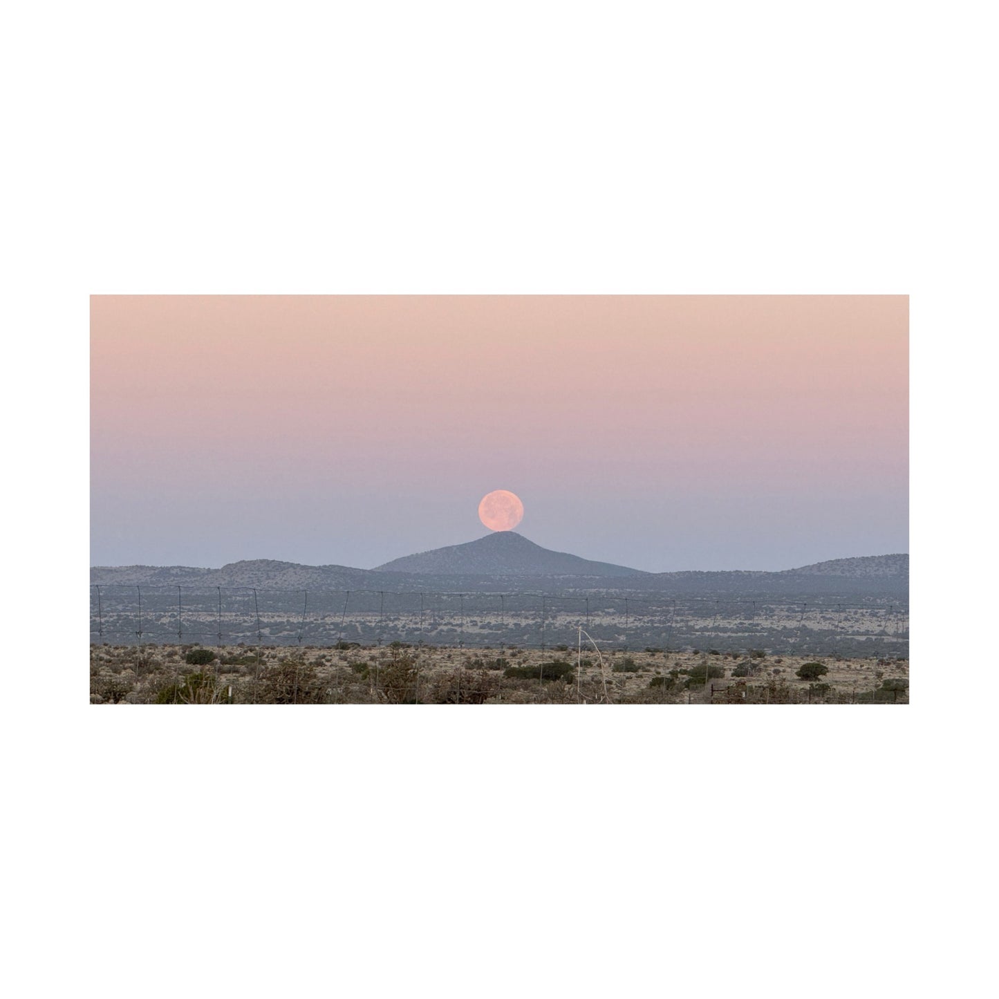 Photographic poster: Moon on a Hill