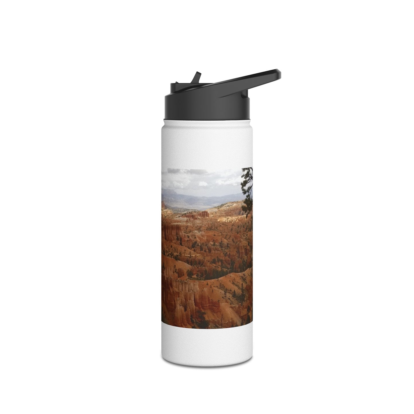 Waterbottle with Bryce panoramic